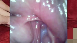 阴部特写。高清完整视频